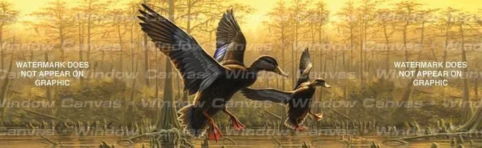 Black Ducks Rear Window Decal