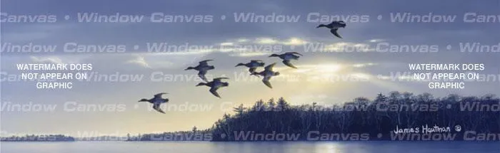 Blue Bills at Dawn Rear Window Decal