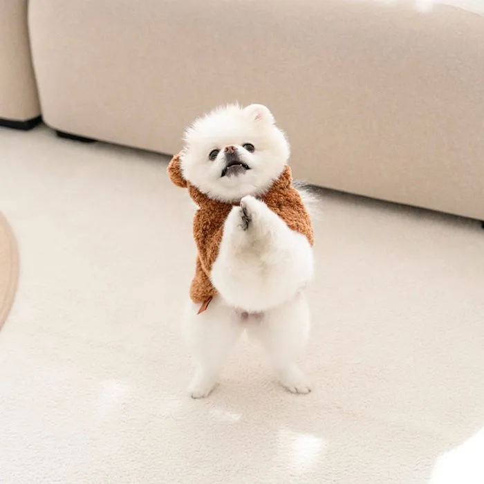 ※予約販売【noutti】Boris Poncho