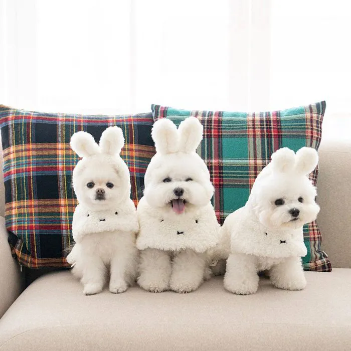 ※予約販売【noutti】Miffy Poncho