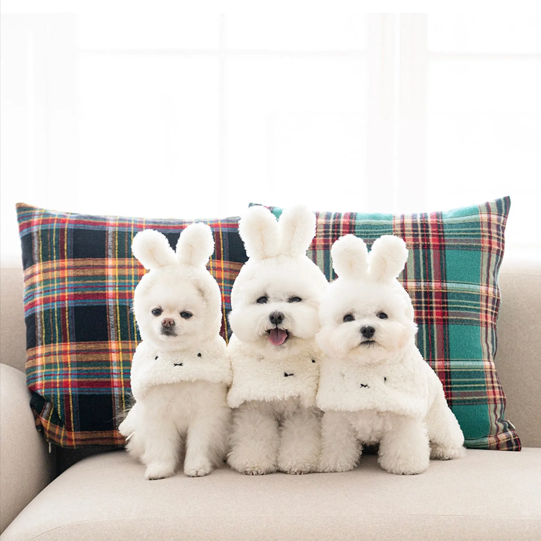 ※予約販売【noutti】Miffy Poncho