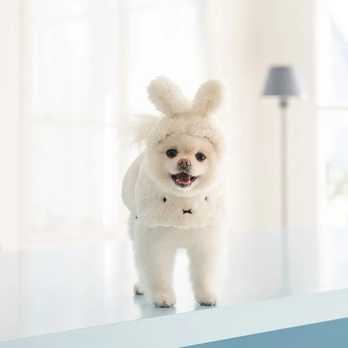 ※予約販売【noutti】Miffy Poncho