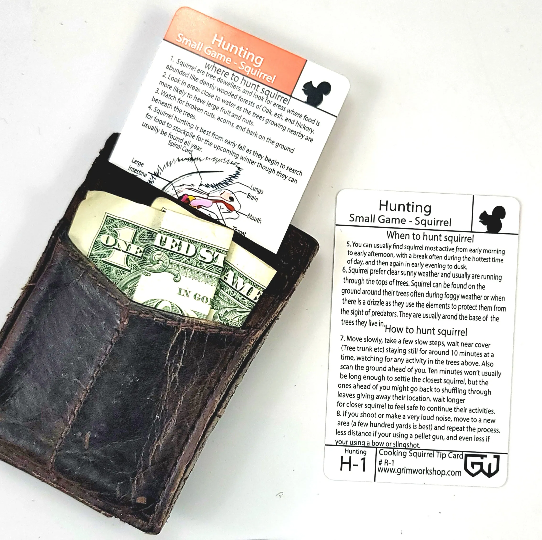 Tip Card H-1: Squirrel Hunting